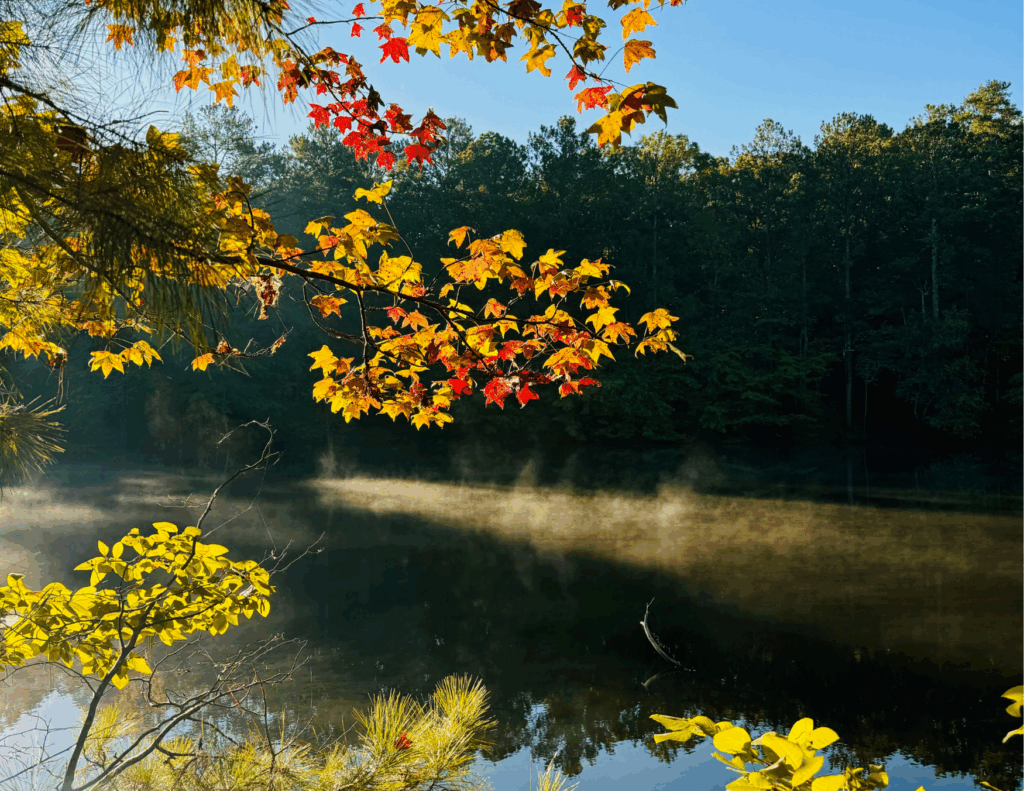 November: "Sibley Pond" by Justin Johnson
