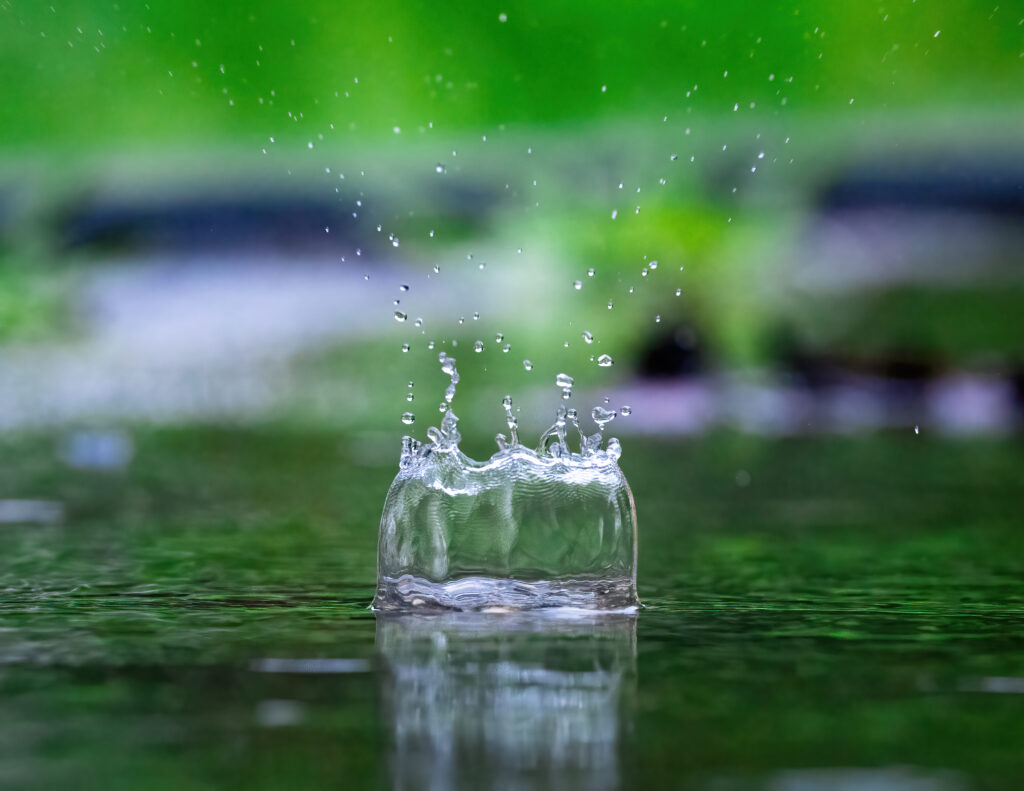 June: Drop in the Bucket by Dan Riley